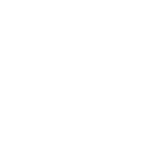 Logo Festa das Nações